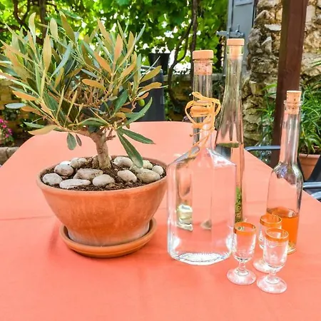 Palma オパティヤ